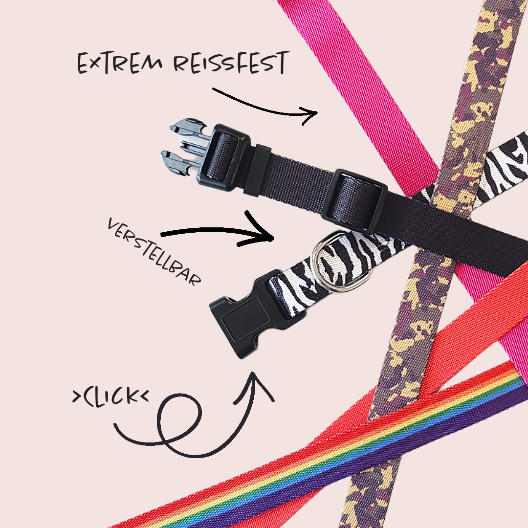 Halsband | Hochwertig | stufenlos verstellbar | Nylon | Hundehalsband | Hunde führen | spazieren