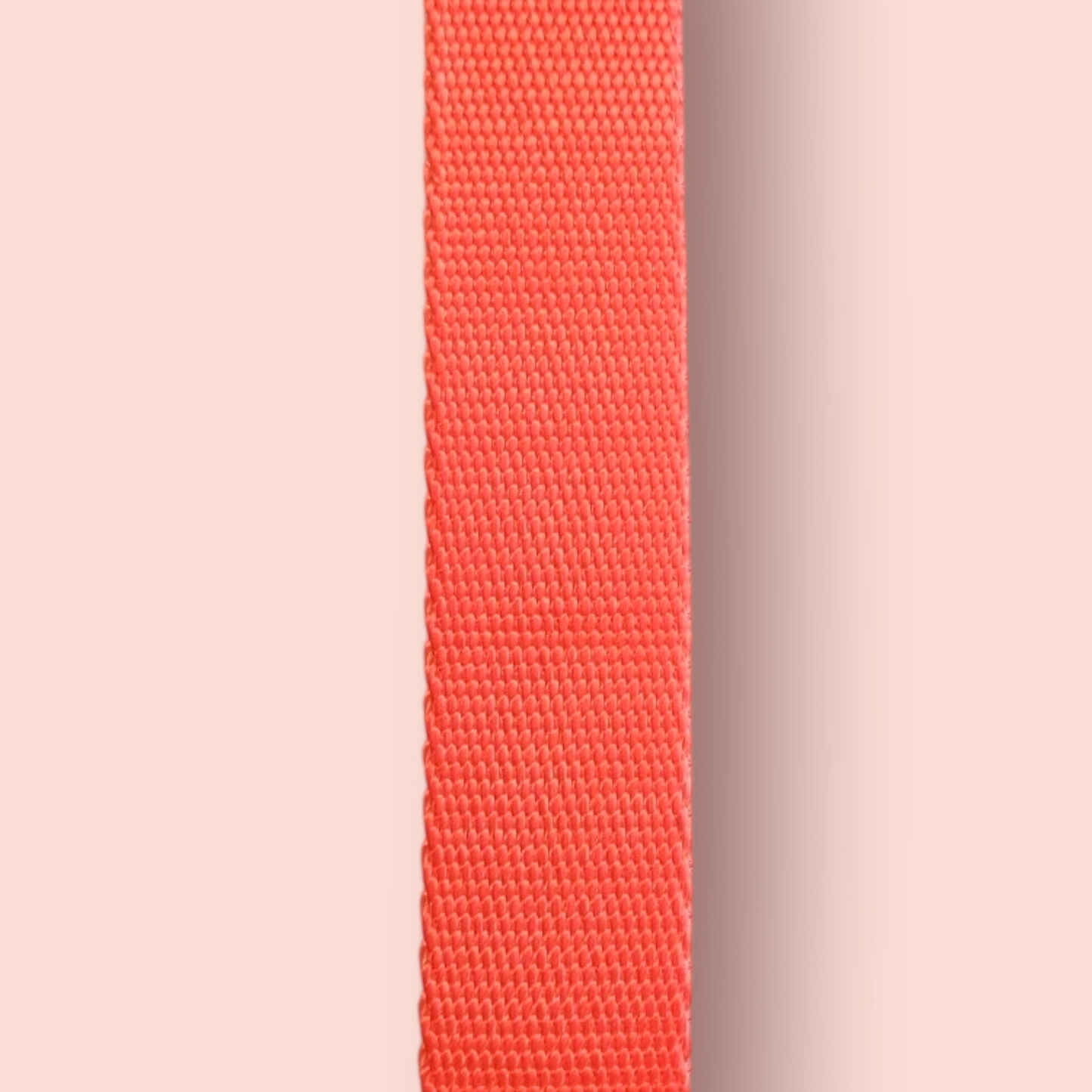 Halsband | Hochwertig | stufenlos verstellbar | Nylon | Hundehalsband | Hunde führen | spazieren