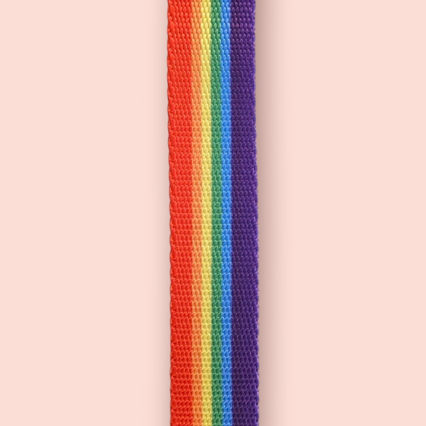 Halsband | Hochwertig | stufenlos verstellbar | Nylon | Hundehalsband | Hunde führen | spazieren
