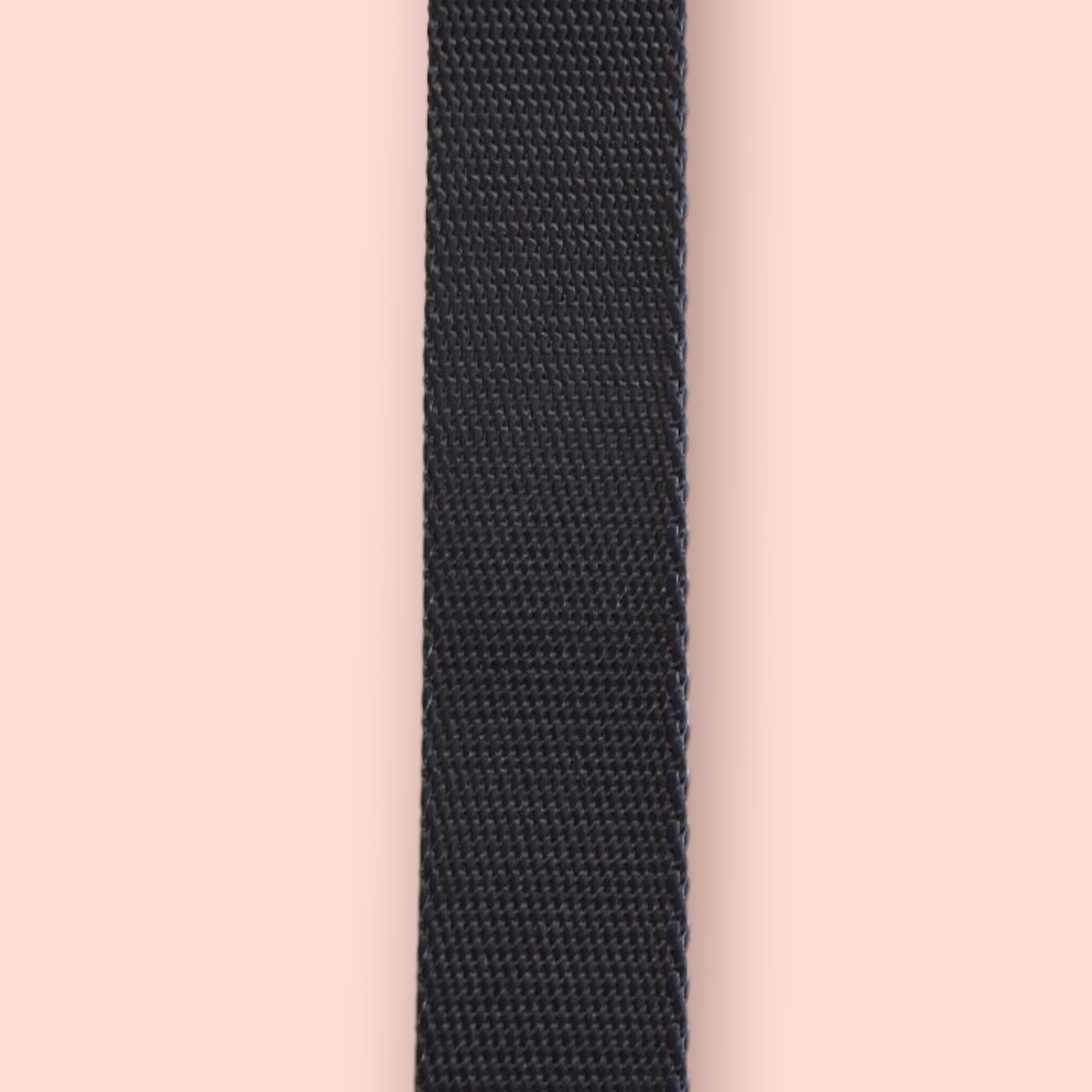 Halsband | Hochwertig | stufenlos verstellbar | Nylon | Hundehalsband | Hunde führen | spazieren