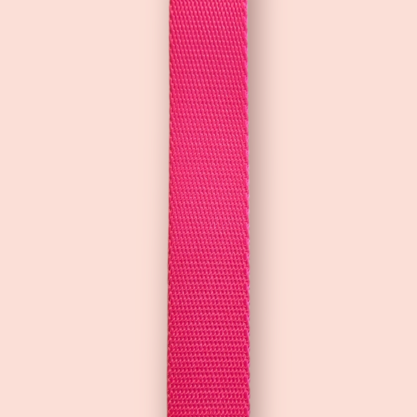 Halsband | Hochwertig | stufenlos verstellbar | Nylon | Hundehalsband | Hunde führen | spazieren