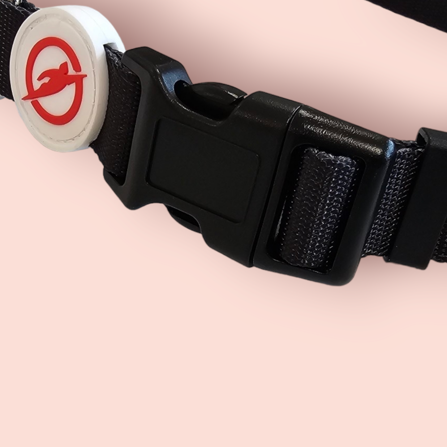 Halsband | Hochwertig | stufenlos verstellbar | Nylon | Hundehalsband | Hunde führen | spazieren
