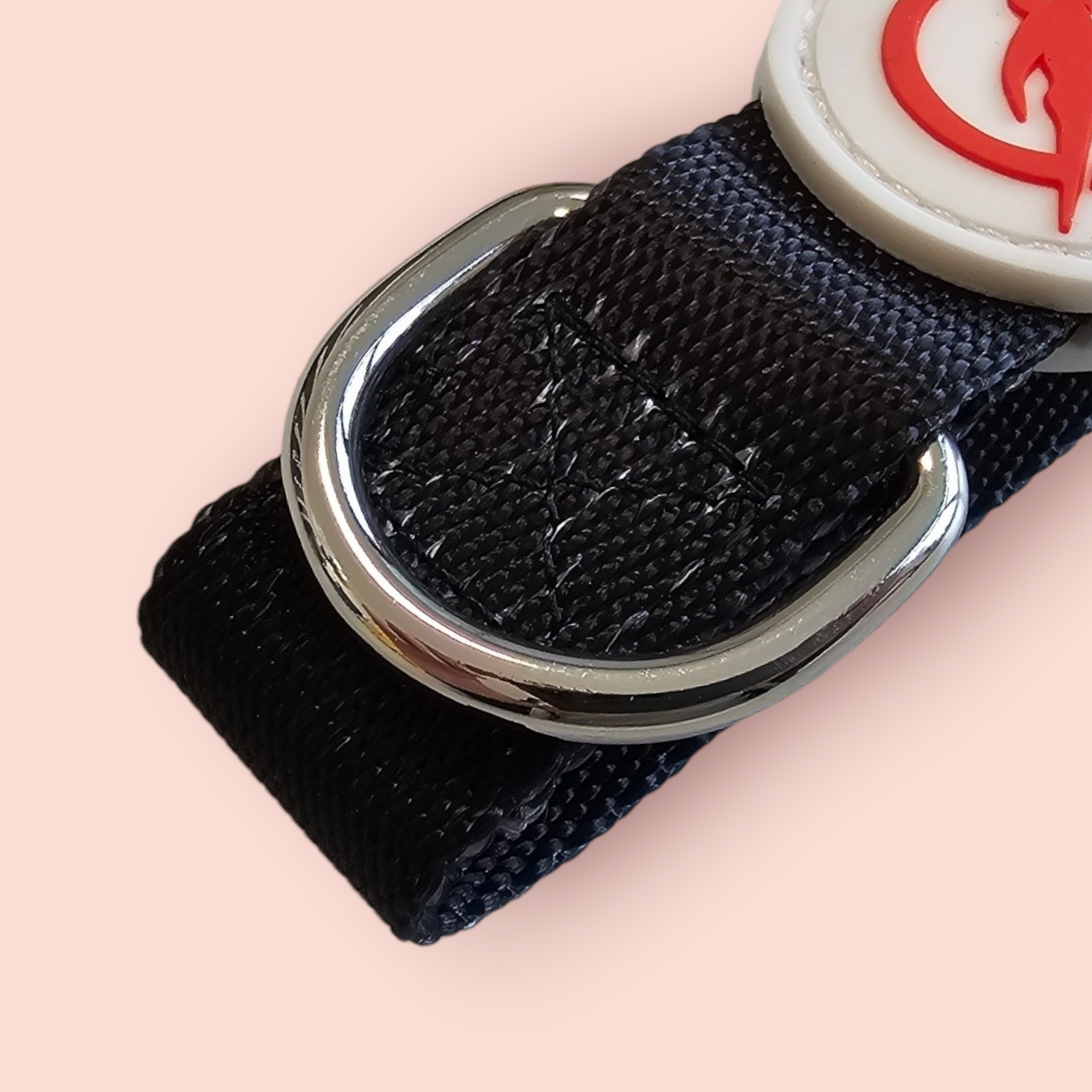 Halsband | Hochwertig | stufenlos verstellbar | Nylon | Hundehalsband | Hunde führen | spazieren