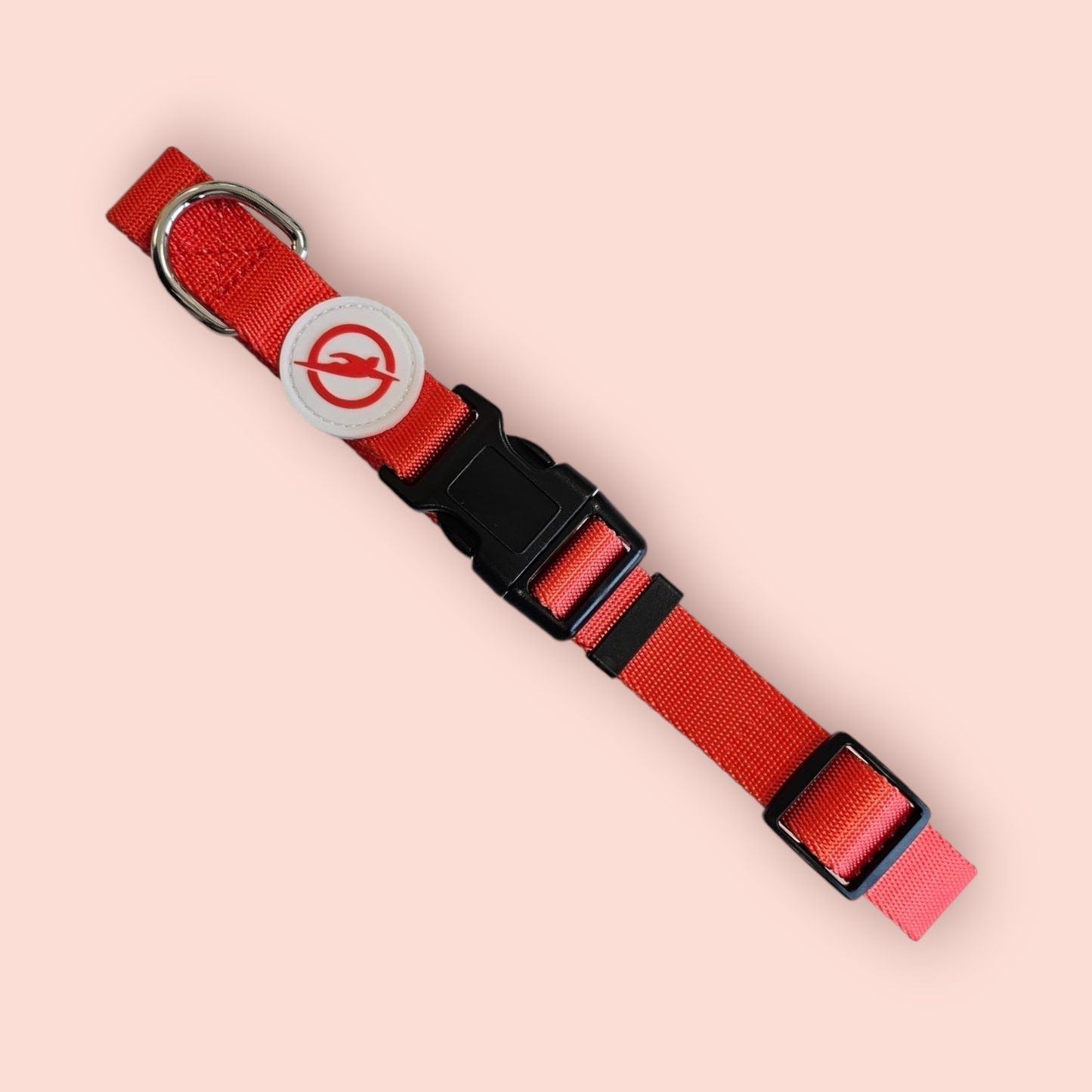 Halsband | Hochwertig | stufenlos verstellbar | Nylon | Hundehalsband | Hunde führen | spazieren