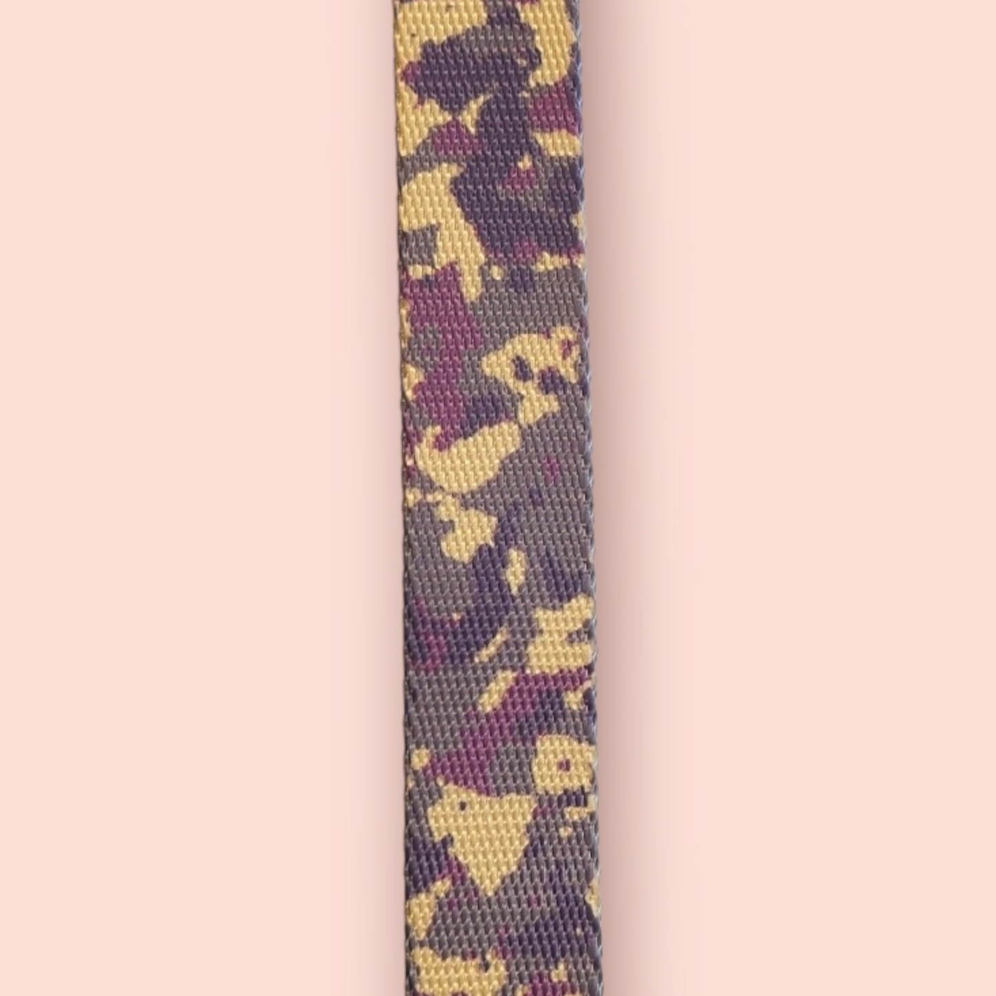 Halsband | Hochwertig | stufenlos verstellbar | Nylon | Hundehalsband | Hunde führen | spazieren