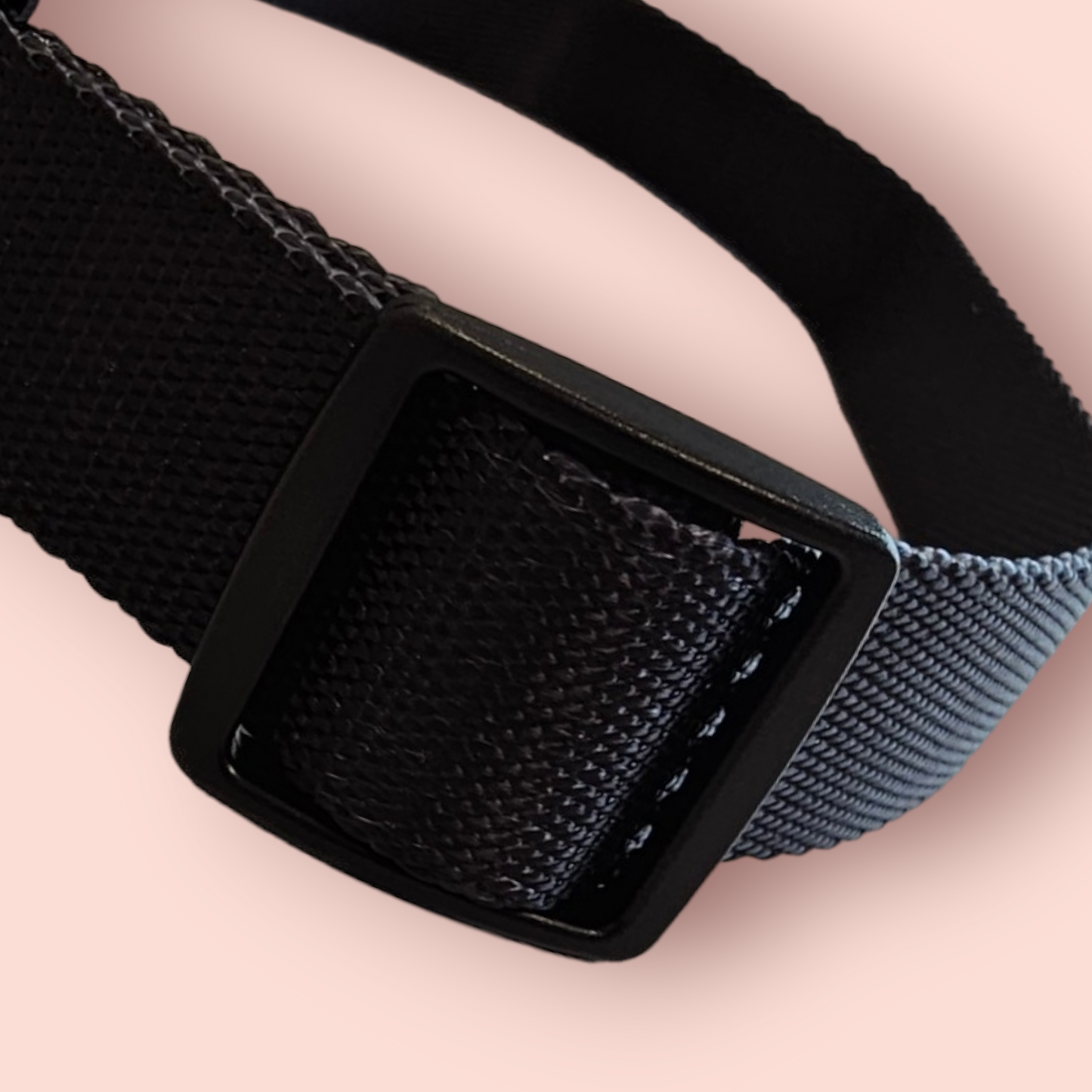 Halsband | Hochwertig | stufenlos verstellbar | Nylon | Hundehalsband | Hunde führen | spazieren