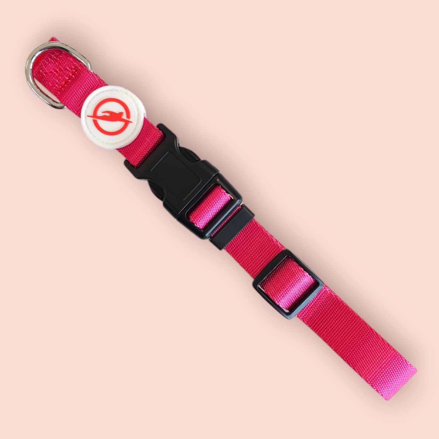 Halsband | Hochwertig | stufenlos verstellbar | Nylon | Hundehalsband | Hunde führen | spazieren