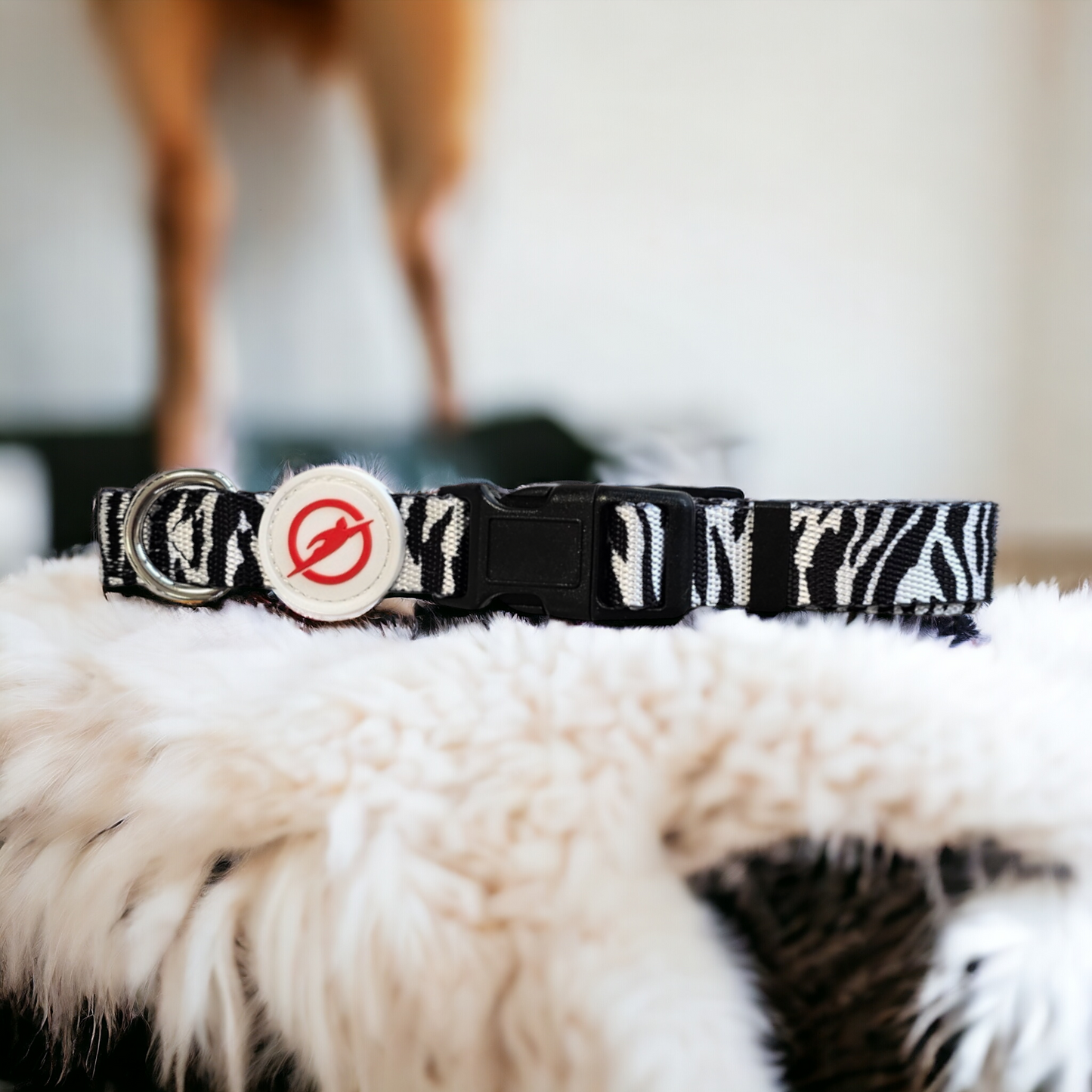 Halsband | Hochwertig | stufenlos verstellbar | Nylon | Hundehalsband | Hunde führen | spazieren