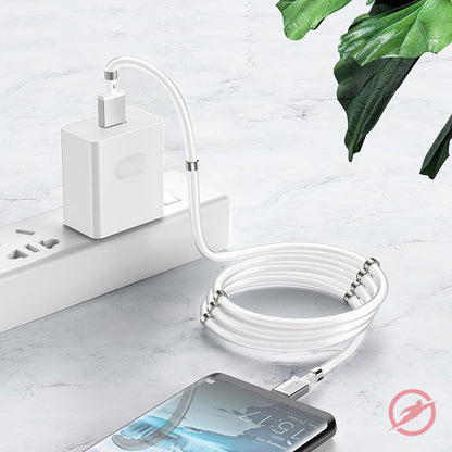 USB Kabel | Typ C auf USB | Magnete | Weiß | Ladekabel | 1m
